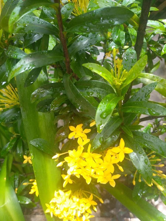 Estalagem Betel - Moradas Familia Betel 2*