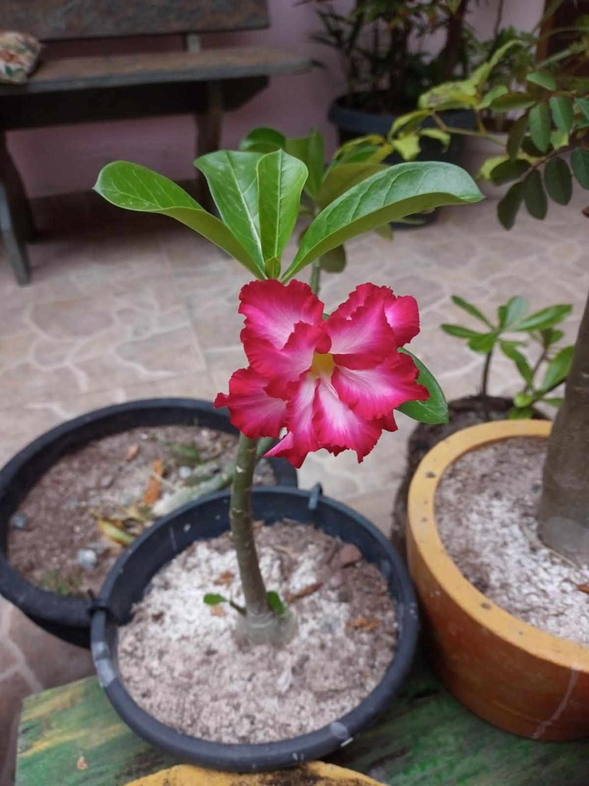 Estalagem Betel - Moradas Familia Betel 2*